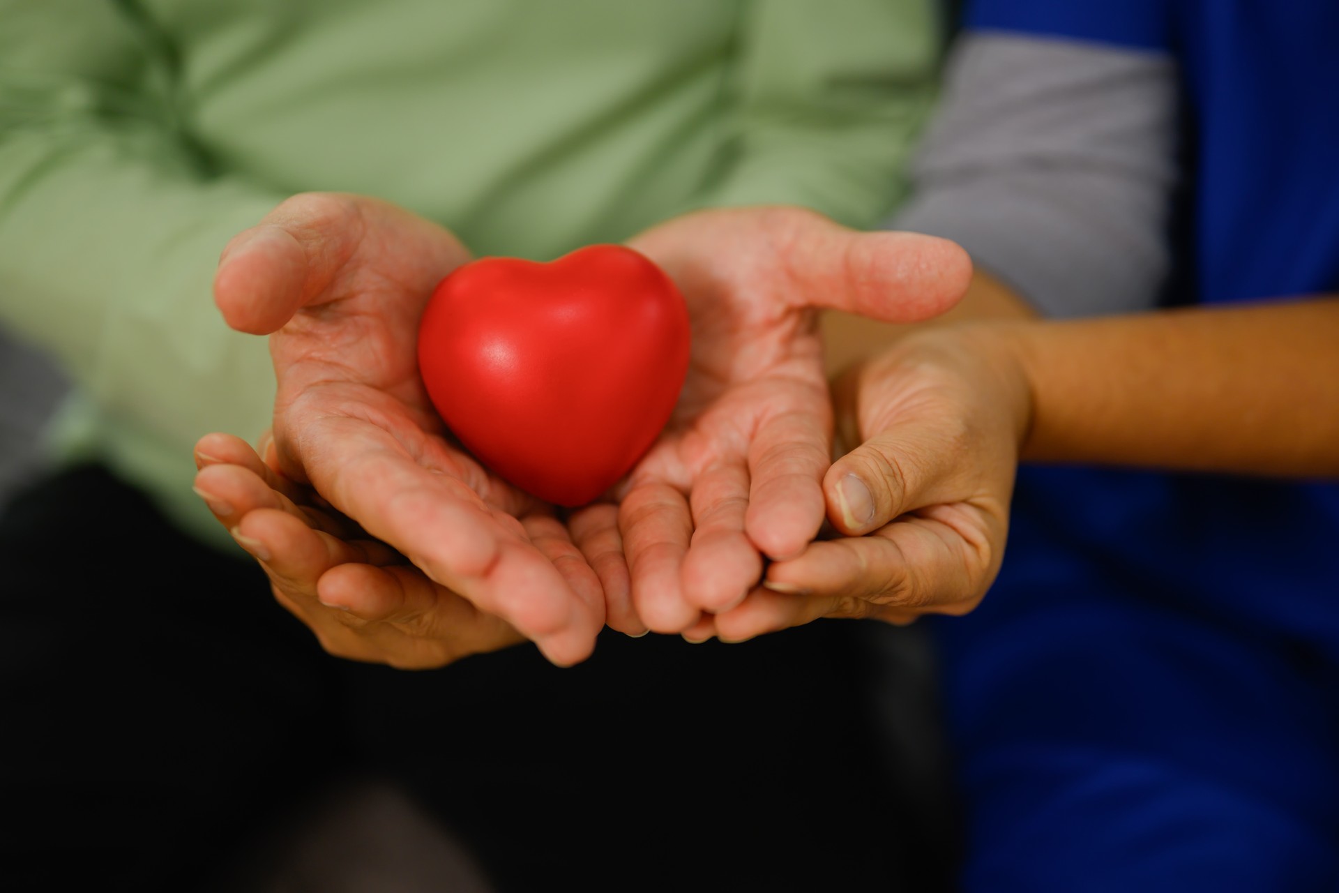 Hands of elderly couple holding red heart. Love, health care, medical and charity concept