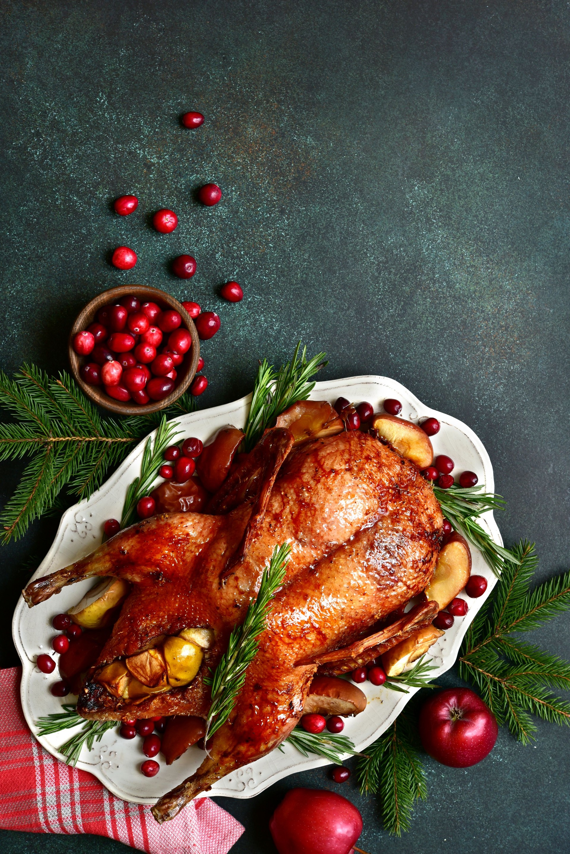 Festive christmas roast duck stuffed with apples and cranberries. Top view with copy space.