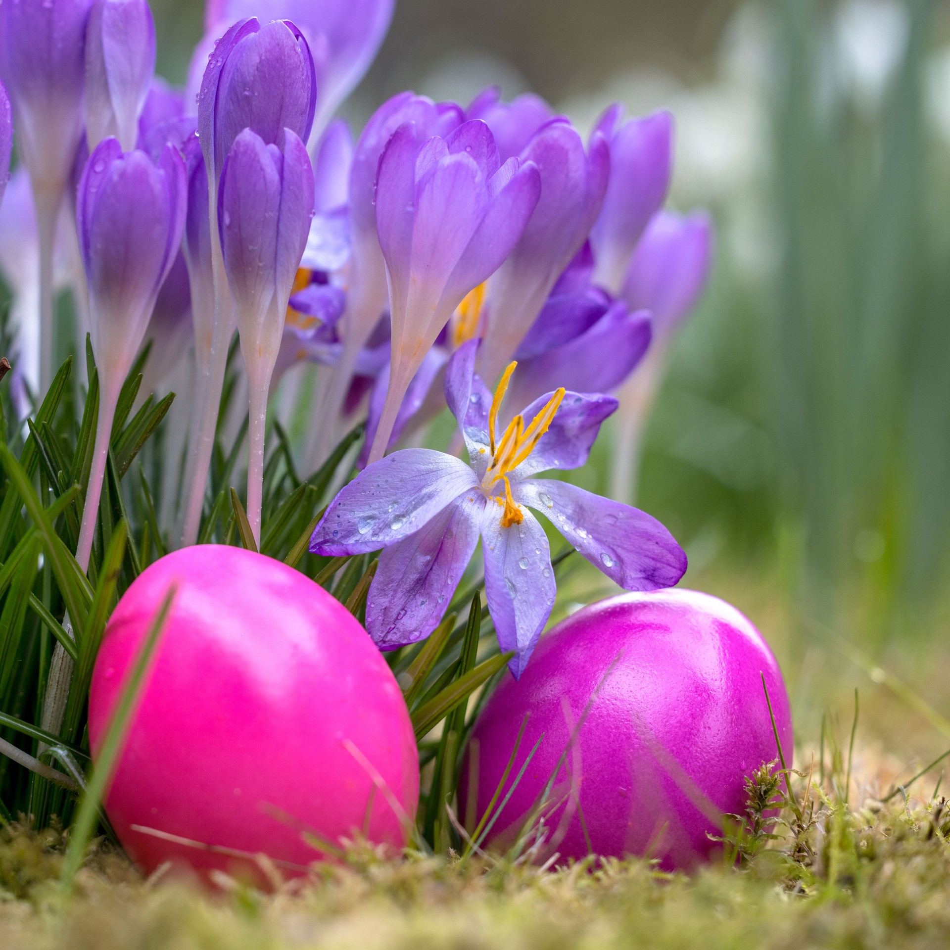 colorful Easter time