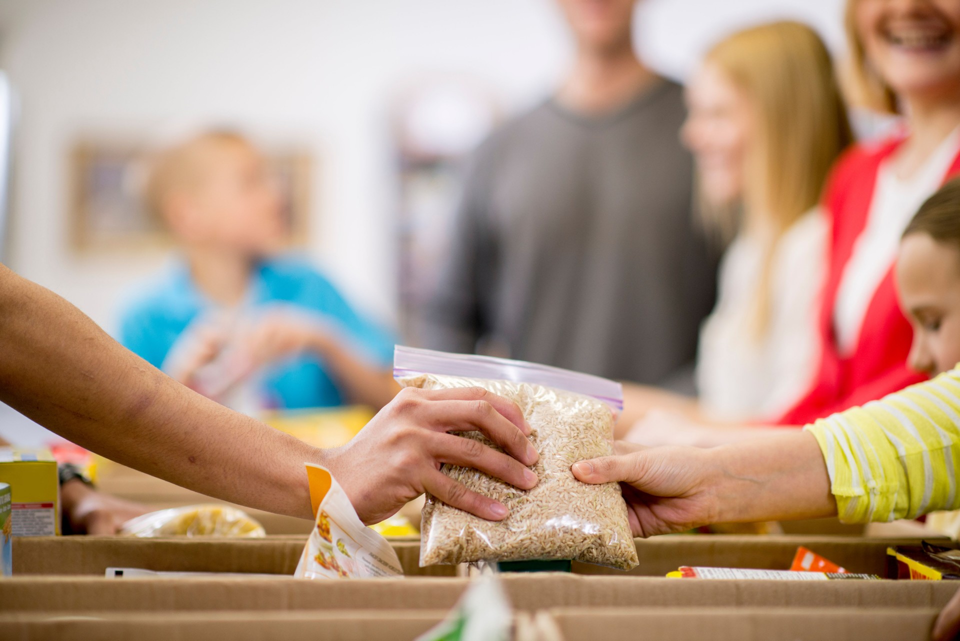 Collecting Food for Donations